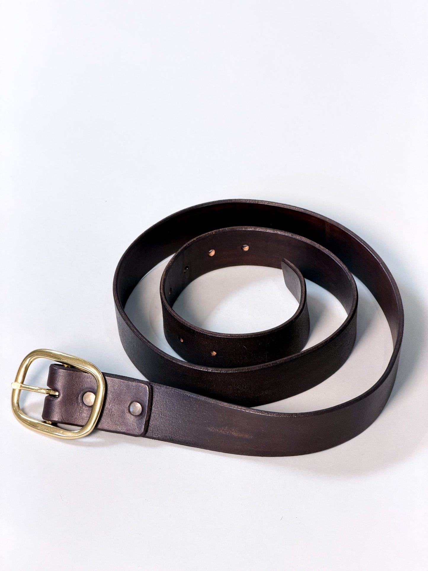 A dark brown leather belt with a gold-tone metal buckle, coiled on a plain white background.
