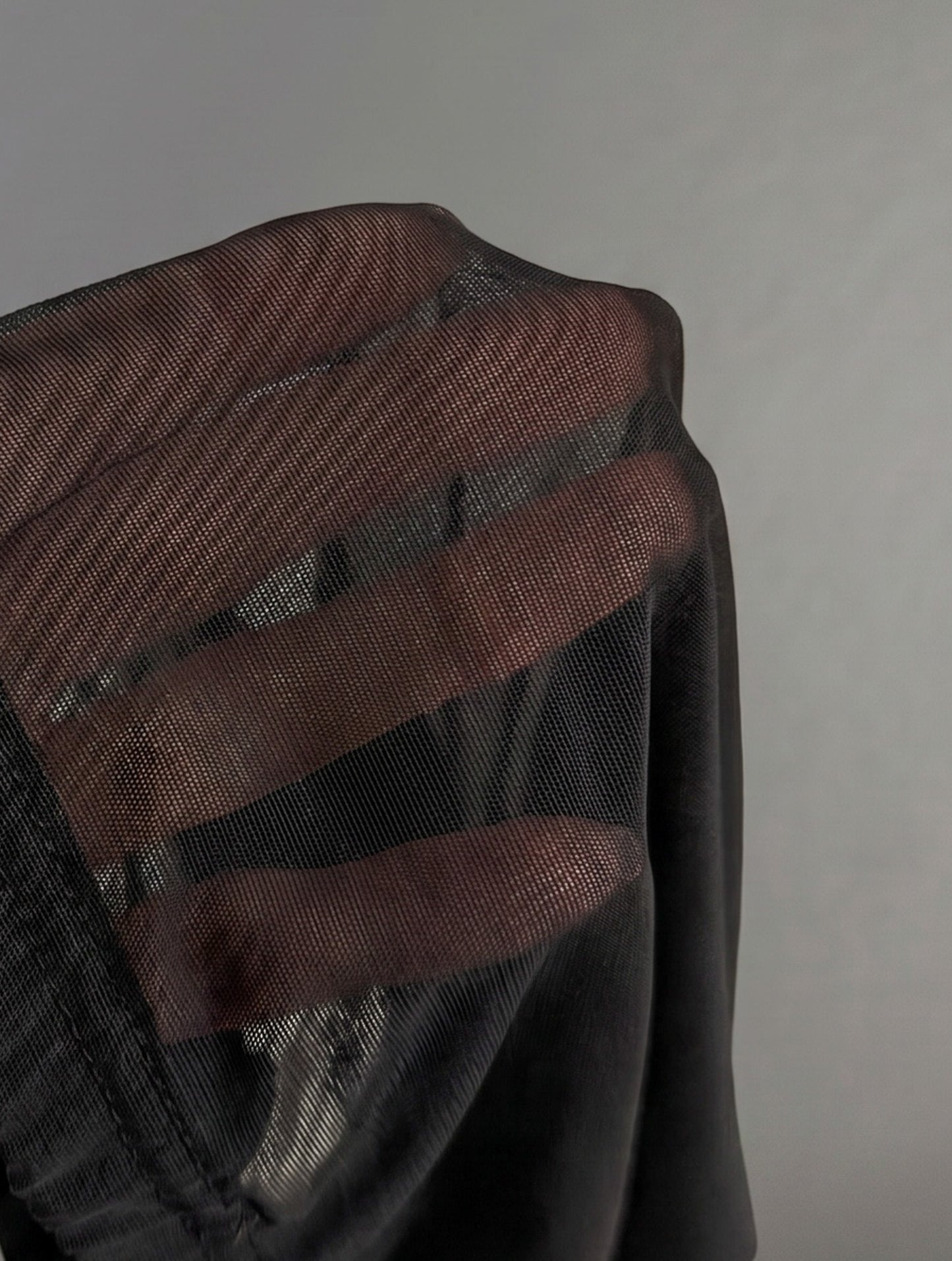 Mesh Long Sleeve Top (Black)