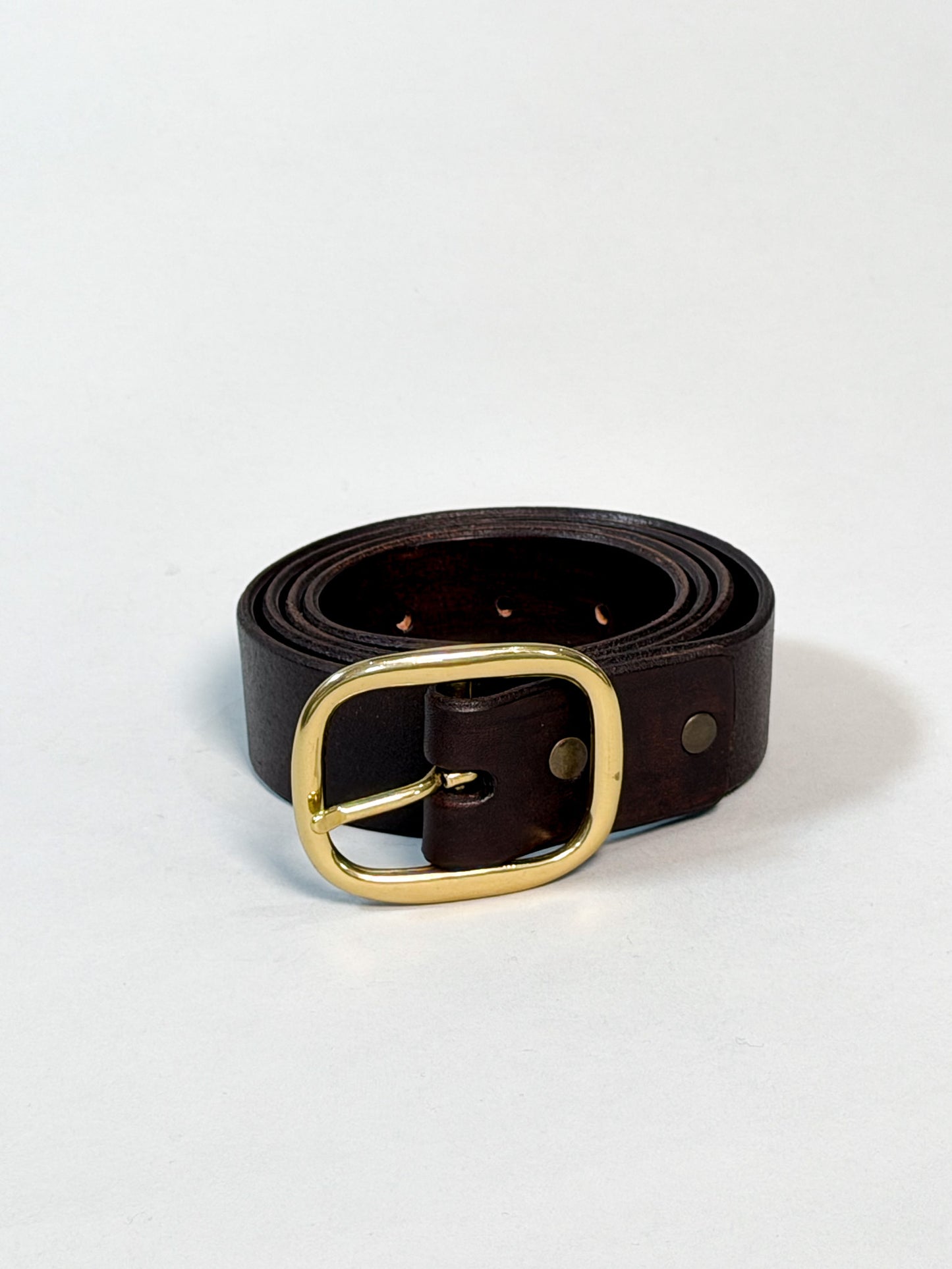 A dark brown leather belt with a polished gold-tone metal buckle, coiled on a light gray background.