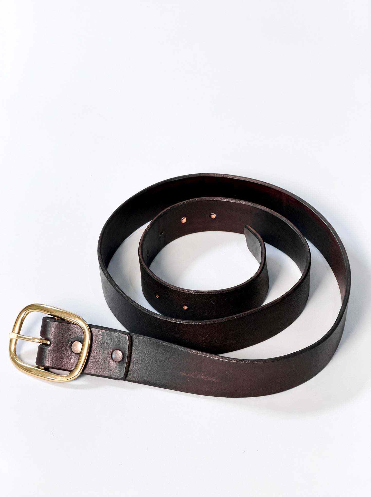 A dark brown leather belt with a brass buckle, coiled on a clean white background.