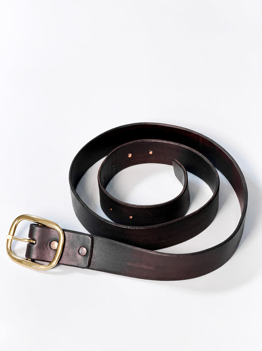 A dark brown leather belt with a brass buckle, coiled on a clean white background.